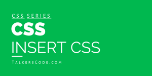 CSS Insert CSS