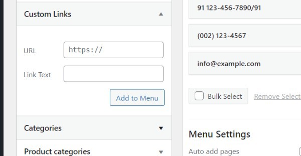 How To Get Site URL In WordPress