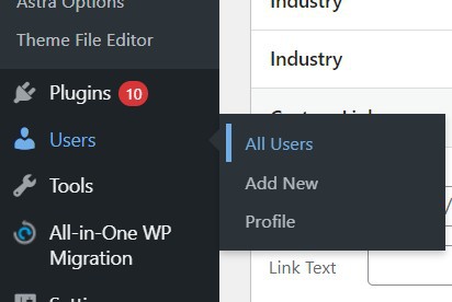 How To Show Author Name In WordPress Post