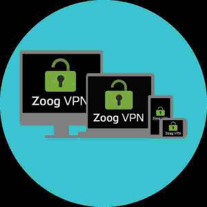 Zoog VPN Review